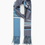 VFJ0031-9   Шарф жен. 30% вискоза, 70% полиэстер 70x180 FABRETTI 